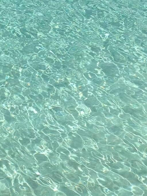 Villa Ker Iguane Terre De Haut Les Saintes מראה חיצוני תמונה